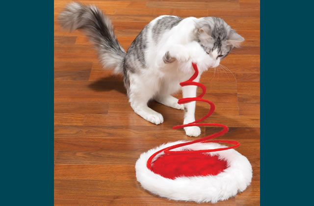 Interactive Cat Toys for Your Festive Feline